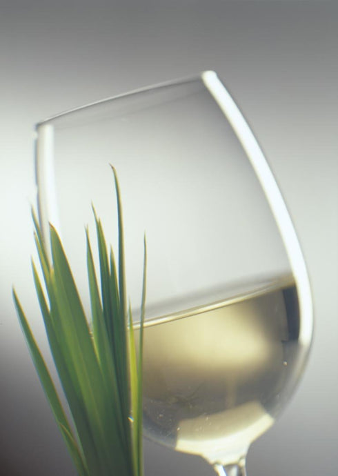 White Wine - Grassy