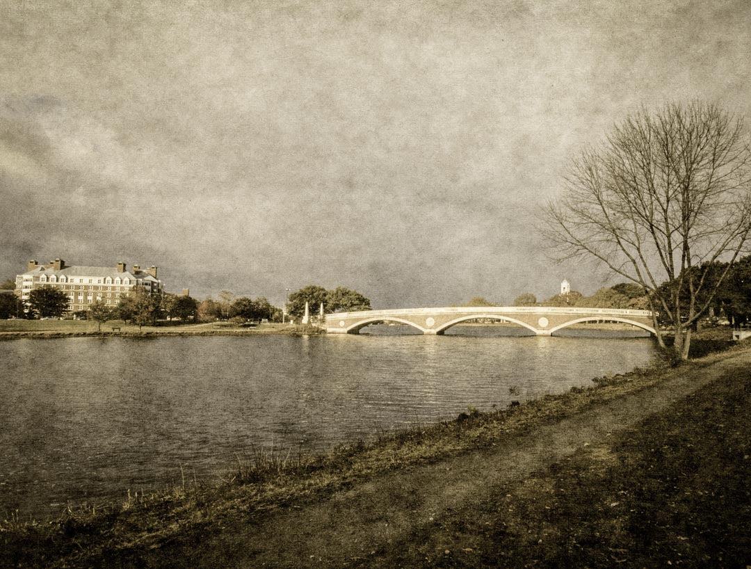 Weeks Bridge